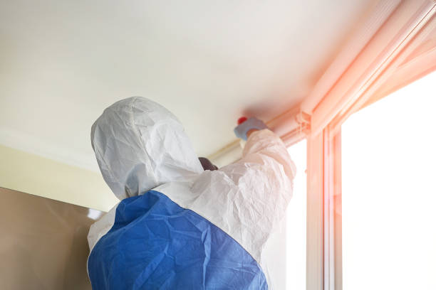 Mold Removal & Remediation