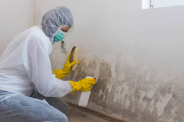 Best Residential Mold Inspection & Testing  in Britton, SD