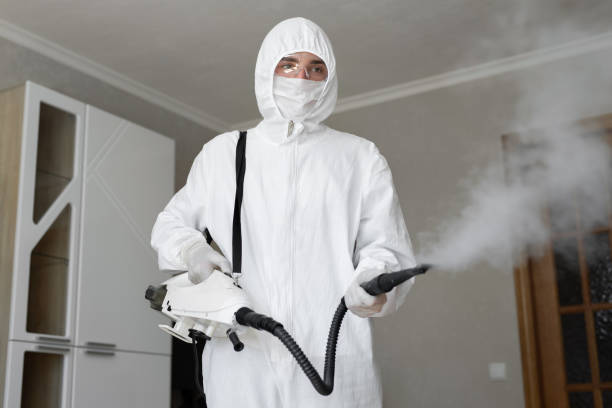 Best Asbestos and Lead Testing During Mold Inspection  in Britton, SD